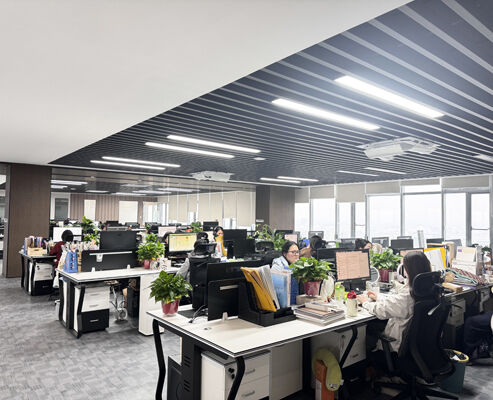 Cina SONSILL HOLDING Profil Perusahaan