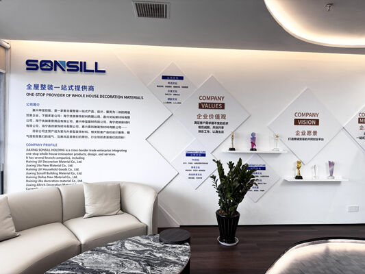 Cina SONSILL HOLDING Profil Perusahaan
