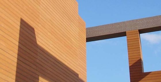 Co Exterior Exterior Wpc Wall Panel Cladding Tahan Air Untuk Dekorasi Taman